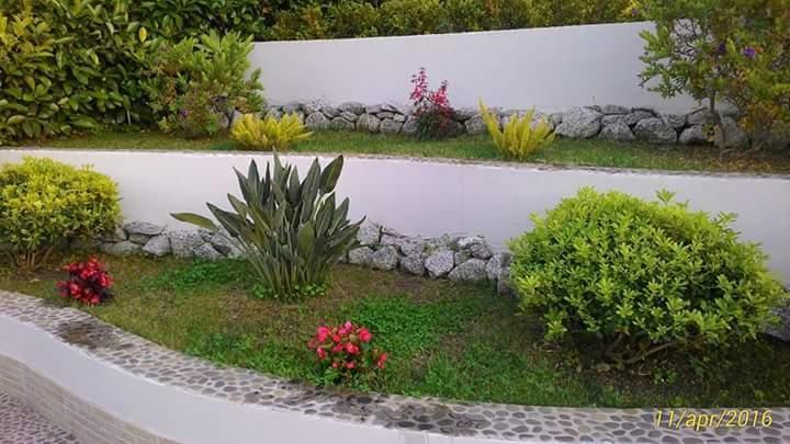 B&B Il Quadrifoglio Tropea Eksteriør billede